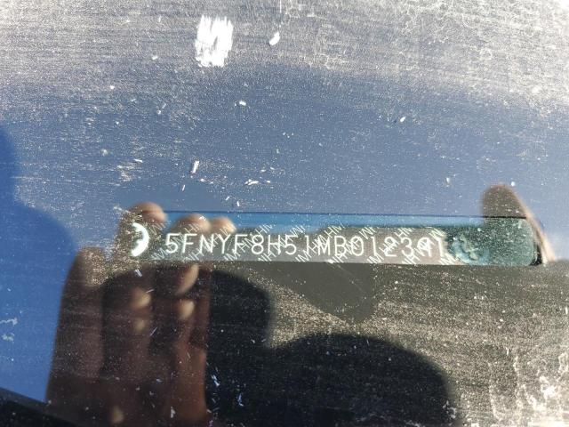 5FNYF8H51MB012391 - 2021 HONDA PASSPORT EXL Մոխրագույն լուսանկար 13