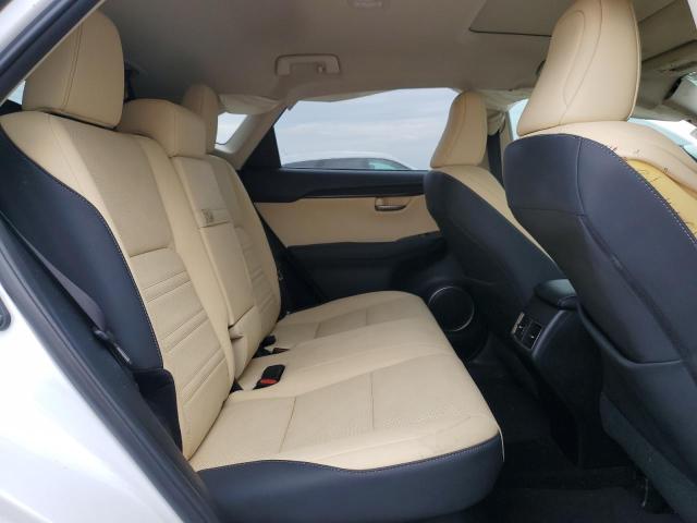 JTJGARBZ0M5031962 - 2021 LEXUS NX 300 BASE Սպիտակ լուսանկար 11