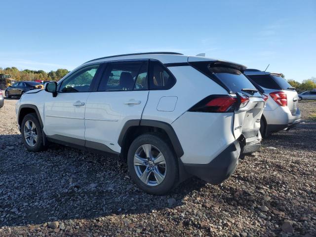 JTMRWRFV0PD184968 - 2023 TOYOTA RAV4 XLE Ağ foto 2