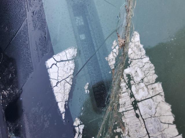 1G1ZB5E05CF229646 - 2012 CHEVROLET MALIBU LS Серебристый фото 12