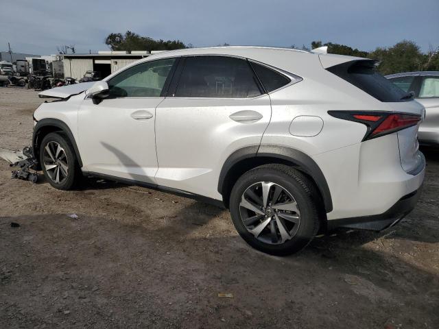 JTJGARBZ1M5029783 - 2021 LEXUS NX 300 BASE 白色 照片 2