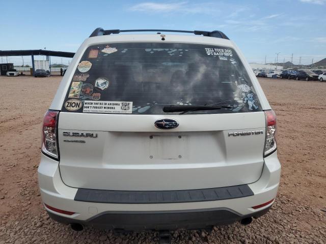 JF2SH6BC9AG768064 - 2010 SUBARU FORESTER XS Ağ foto 6