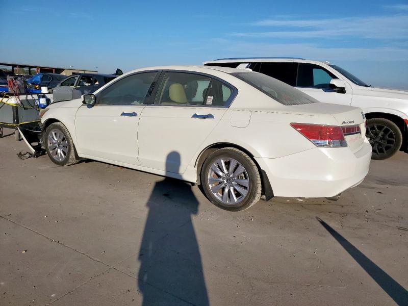 1HGCP3F80BA004510 - 2011 HONDA ACCORD EXL Weiß Foto 2