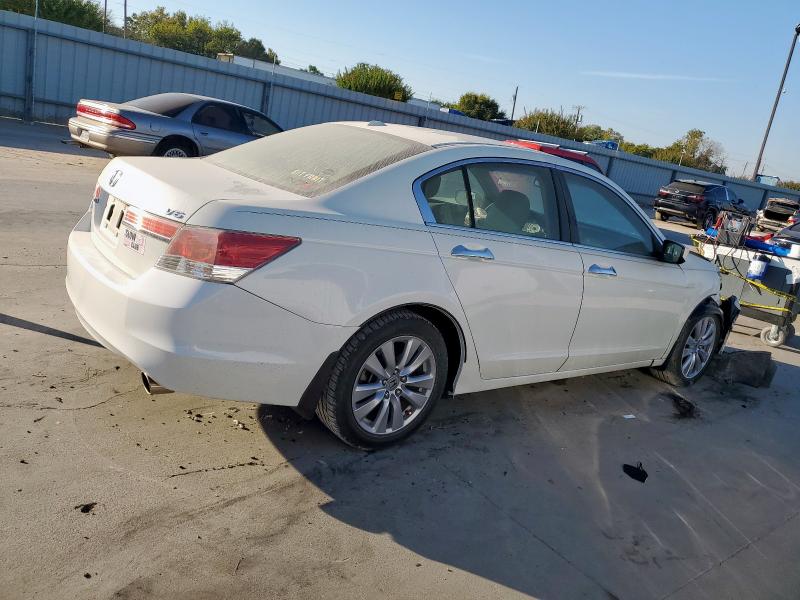 1HGCP3F80BA004510 - 2011 HONDA ACCORD EXL Weiß Foto 3