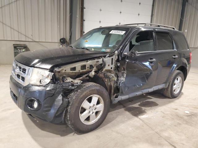 2010 FORD ESCAPE XLT, 