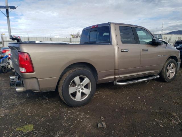 1D7RB1GT8AS232414 - 2010 DODGE RAM 1500 GOLD photo 3