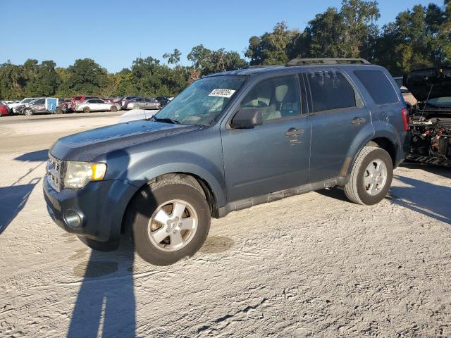 2010 FORD ESCAPE XLT, 