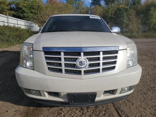 1GYFK63847R411071 - 2007 CADILLAC ESCALADE LUXURY Blanco foto 5
