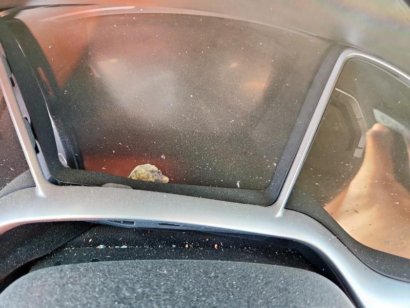 2HGFC3B3XKH353937 - 2019 HONDA CIVIC EX 白色 照片 9