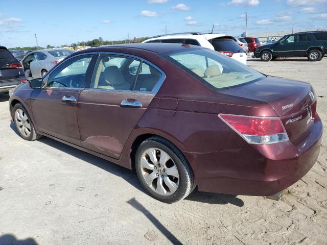 1HGCP36888A038834 - 2008 HONDA ACCORD EXL BURGUNDY photo 2