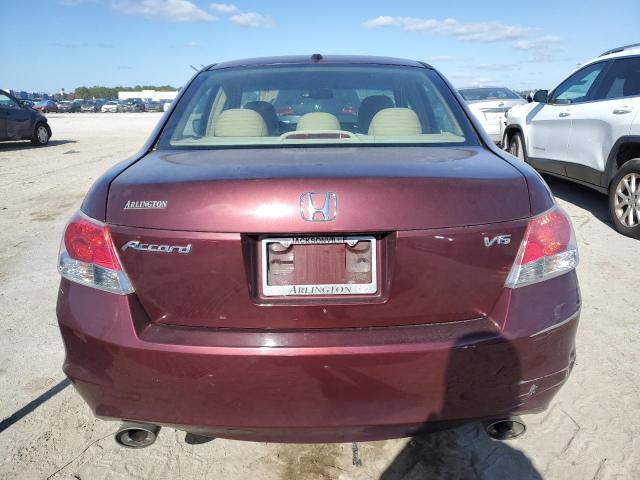 1HGCP36888A038834 - 2008 HONDA ACCORD EXL BURGUNDY photo 6