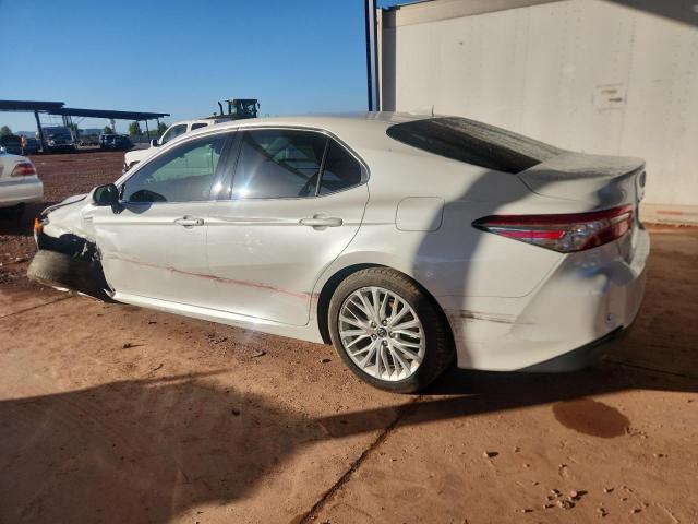 4T1F31AK2LU523326 - 2020 TOYOTA CAMRY XLE Білий фото 2