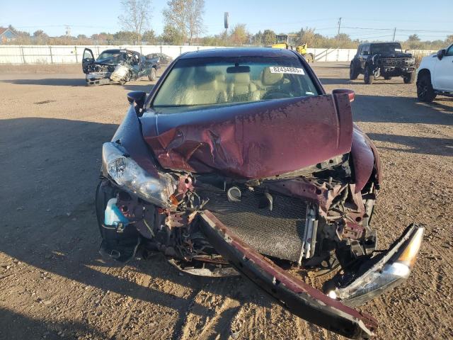 1HGCP2E75BA151022 - 2011 HONDA ACCORD EX 栗色 照片 5