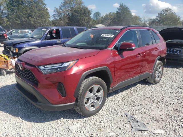 2025 TOYOTA RAV4 XLE, 