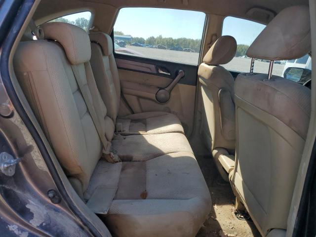 3CZRE38309G703674 - 2009 HONDA CR-V LX თაფლისფერი ფოტო 11