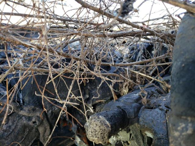 5FNRL6H99PB067468 - 2023 HONDA ODYSSEY ELITE Quemado foto 9