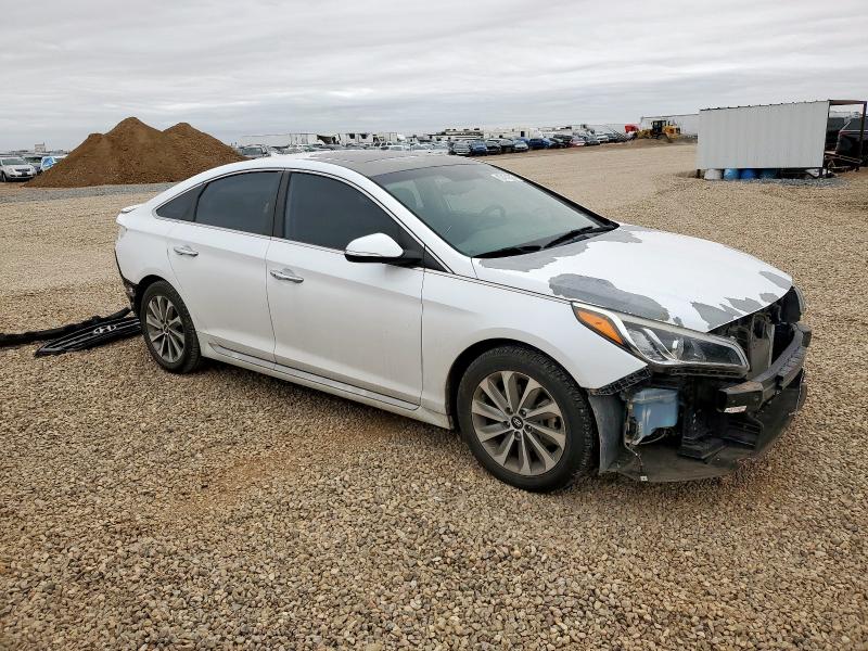 5NPE34AF4HH469906 - 2017 HYUNDAI SONATA SPORT 白色 照片 4