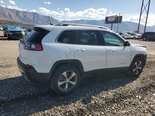 1C4PJMDX5KD378093 - 2019 JEEP CHEROKEE LIMITED Ağ foto 3
