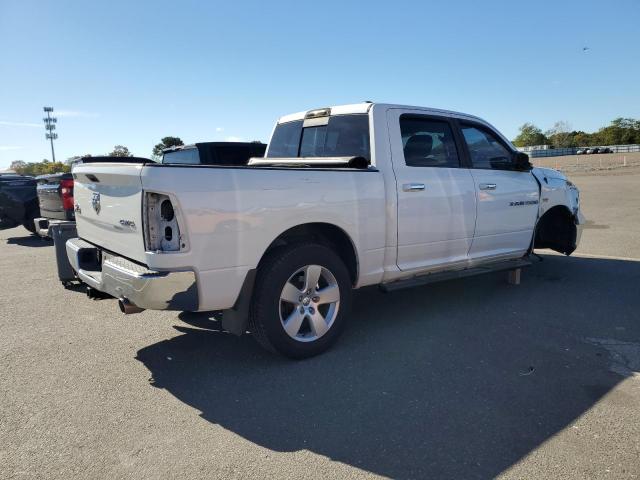 1D7RV1CT8BS503146 - 2011 DODGE RAM 1500 WHITE photo 3