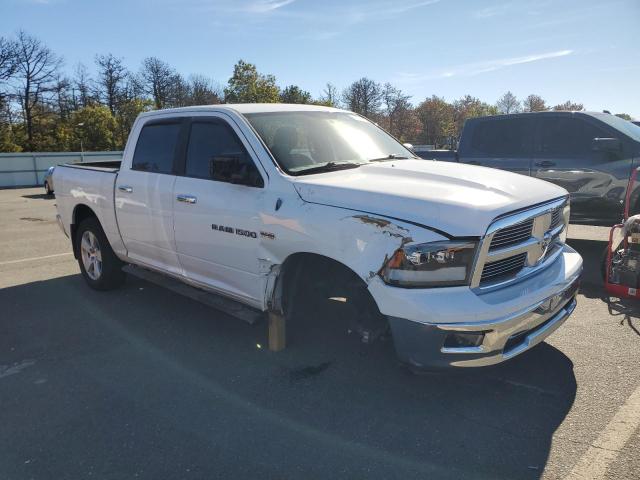 1D7RV1CT8BS503146 - 2011 DODGE RAM 1500 WHITE photo 4