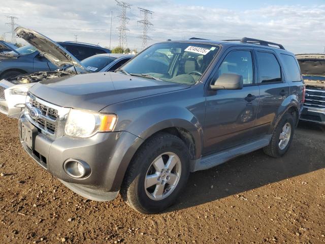 2010 FORD ESCAPE XLT, 