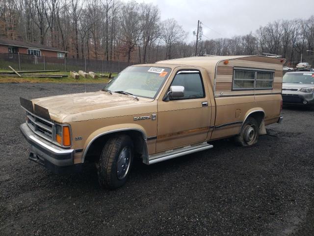 1B7GN14M9HS338886 - 1987 DODGE DAKOTA GOLD photo 1