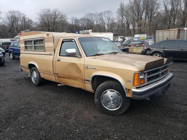 1B7GN14M9HS338886 - 1987 DODGE DAKOTA GOLD photo 4