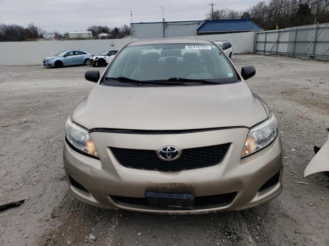 1NXBU4EE3AZ182064 - 2010 TOYOTA COROLLA BASE GOLD photo 5