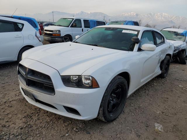 2B3CL1CT9BH579313 - 2011 DODGE CHARGER POLICE WHITE photo 1