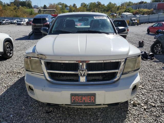 1D7RW2BP3BS685247 - 2011 DODGE DAKOTA ST WHITE photo 5