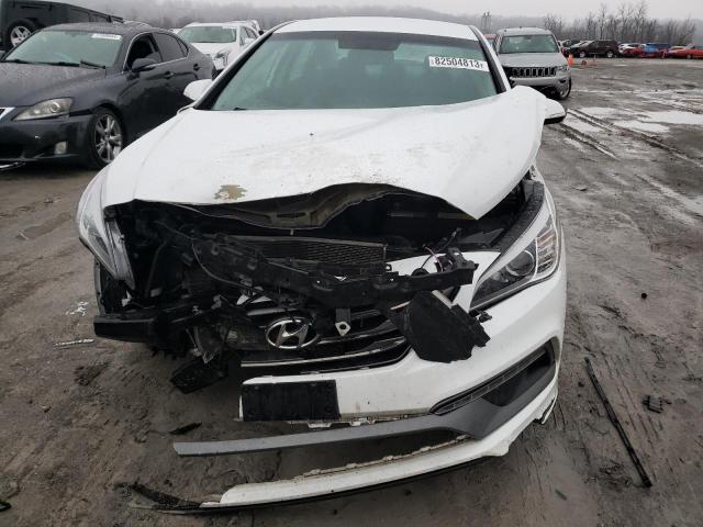 5NPE34AF4FH148137 - 2015 HYUNDAI SONATA SPORT WHITE photo 5