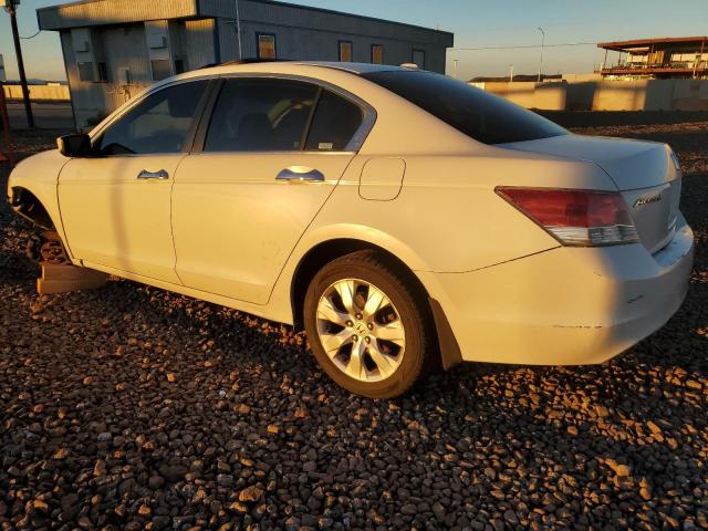 1HGCP36888A042186 - 2008 HONDA ACCORD EXL WHITE photo 2