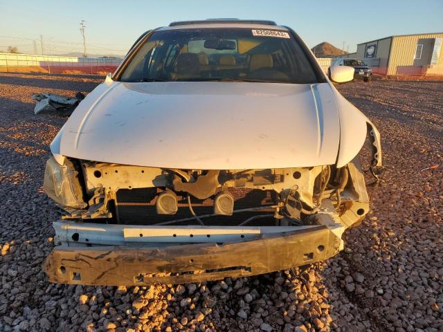 1HGCP36888A042186 - 2008 HONDA ACCORD EXL WHITE photo 5