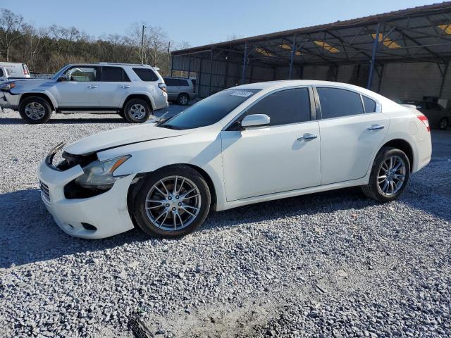 1N4AA51E19C816385 - 2009 NISSAN MAXIMA S WHITE photo 1