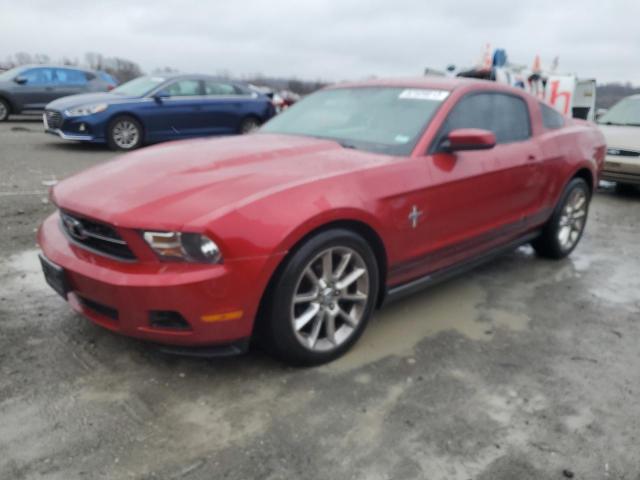 1ZVBP8AN5A5131875 - 2010 FORD MUSTANG MAROON photo 1