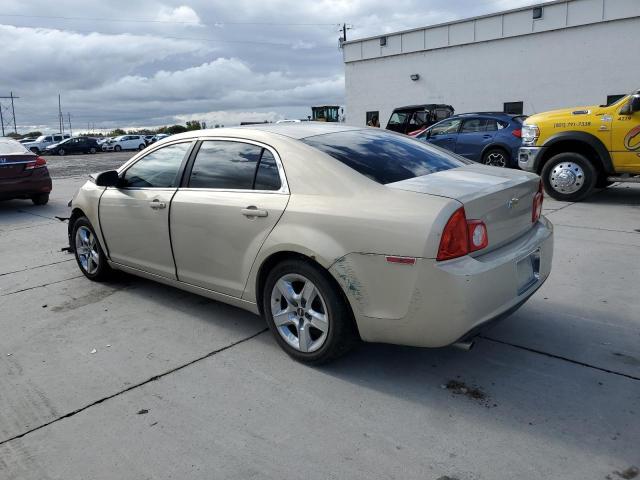 1G1ZC5EBXAF175496 - 2010 CHEVROLET MALIBU 1LT GOLD photo 2