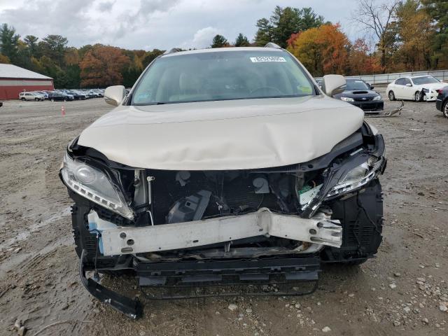 2T2BK1BA8DC200341 - 2013 LEXUS RX 350 BASE 米色 照片 5