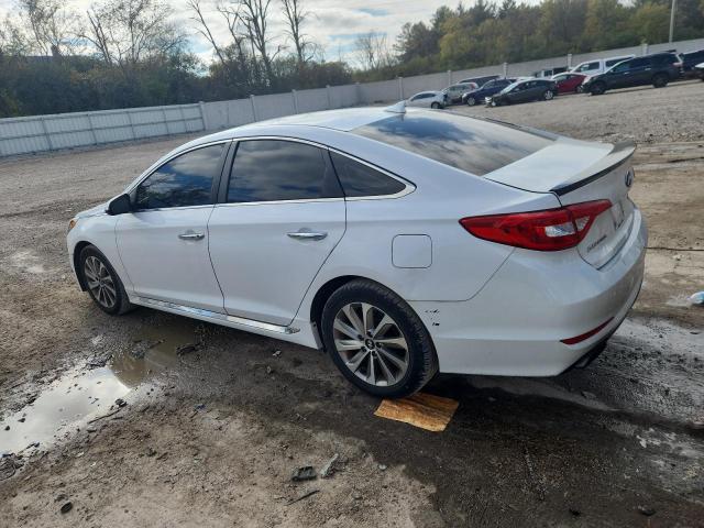 5NPE34AF3FH087539 - 2015 HYUNDAI SONATA SPORT WHITE photo 2