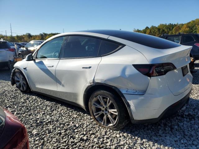 7SAYGDEE1PF883051 - 2023 TESLA MODEL Y Blanco foto 2
