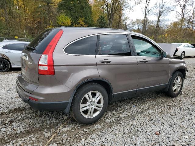 5J6RE4H73BL026086 - 2011 HONDA CR-V EXL TAN photo 3