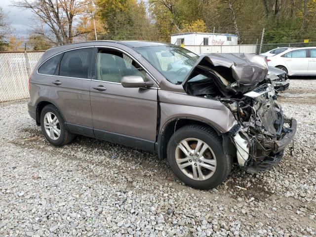 5J6RE4H73BL026086 - 2011 HONDA CR-V EXL TAN photo 4