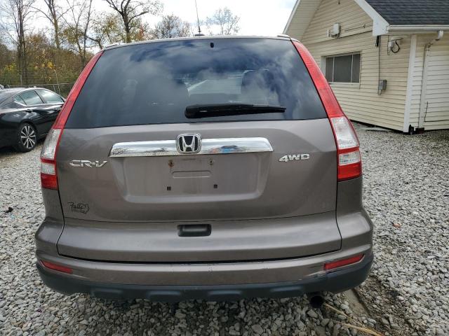 5J6RE4H73BL026086 - 2011 HONDA CR-V EXL TAN photo 6