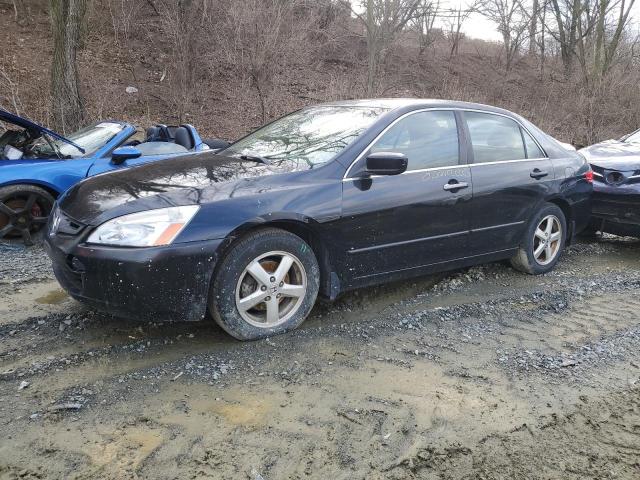 JHMCM56613C006532 - 2003 HONDA ACCORD EX BLACK photo 1