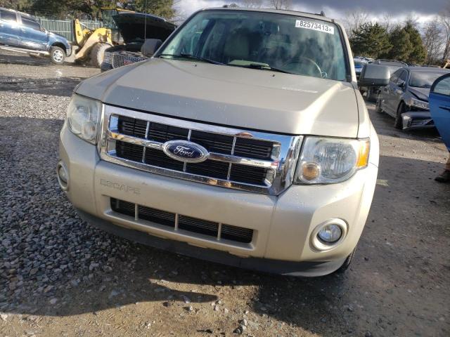 1FMCU0DG5CKA55203 - 2012 FORD ESCAPE XLT TAN photo 5