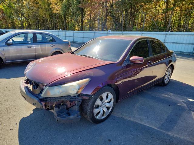 2008 HONDA ACCORD EX, 