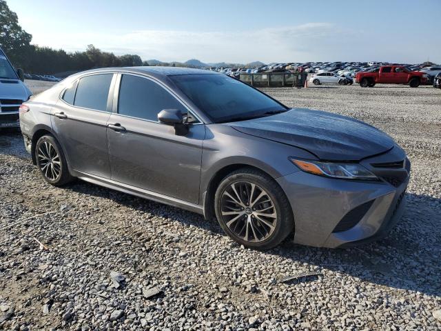 4T1B11HK4KU245280 - 2019 TOYOTA CAMRY L Сұр фото 4