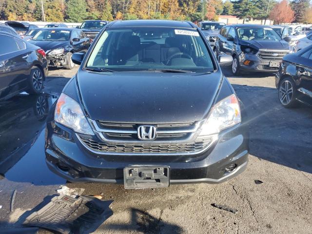 5J6RE4H53AL072921 - 2010 HONDA CR-V EX BLACK photo 5