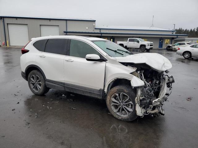 5J6RW2H57LA016805 - 2020 HONDA CR-V EX WHITE photo 4