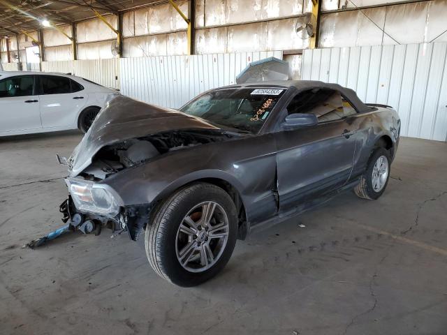 1ZVBP8EN8A5174343 - 2010 FORD MUSTANG BLUE photo 1