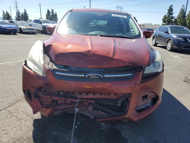 1FMCU0G71GUC43920 - 2016 FORD ESCAPE SE წითელი ფოტო 5